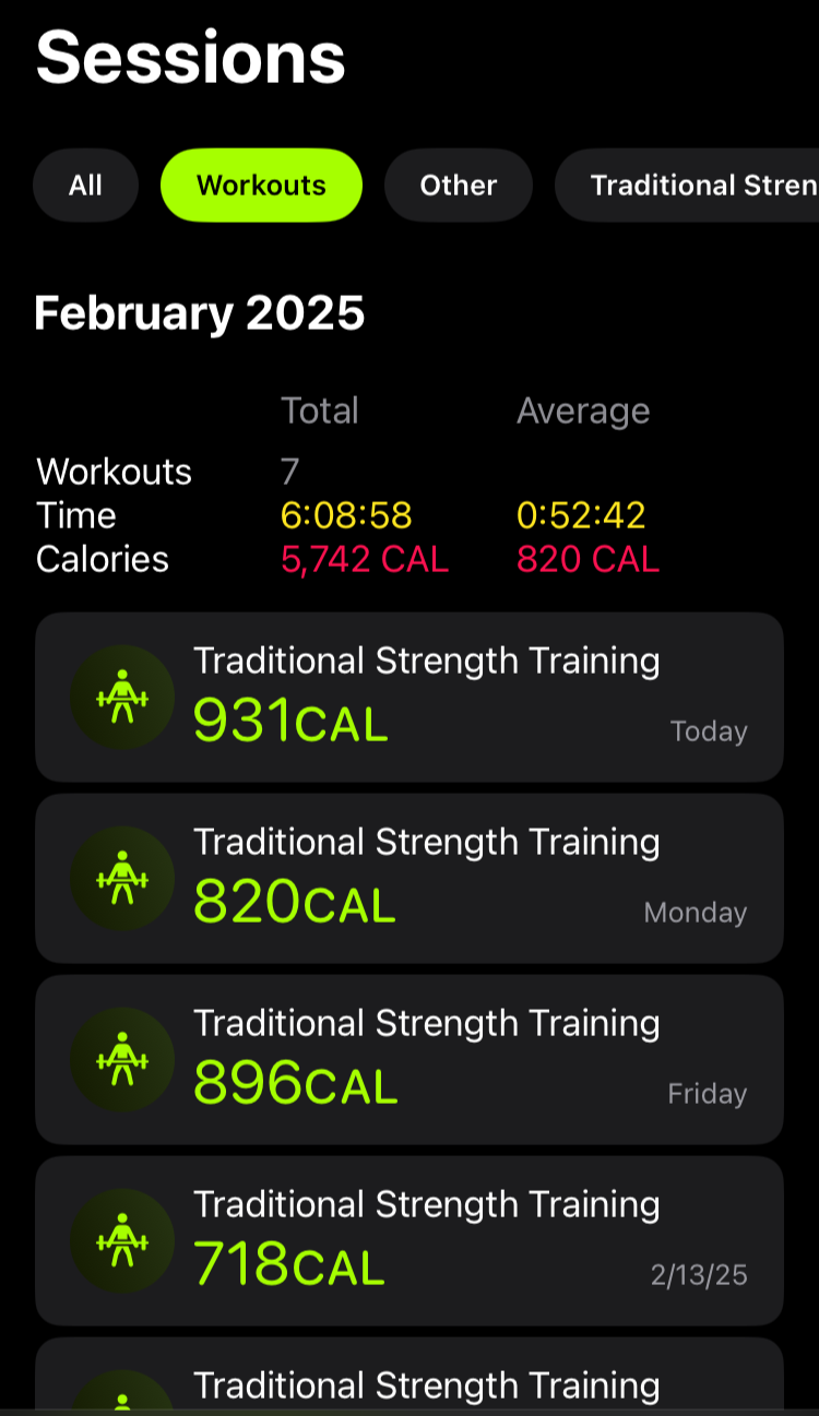 screenshot of february 2025 fitness data summary